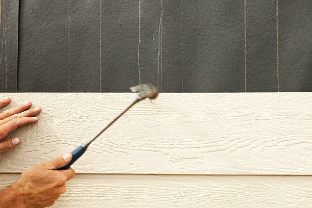 Best James Hardie Siding  in Palmetto Estates, FL